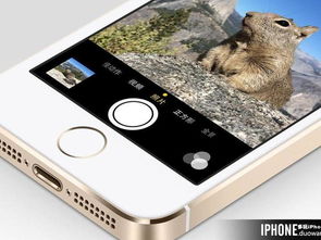 成都旅游类APP开发 深度解析核心用户需求与功能导向