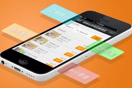 成都软件开发流程与时间安排